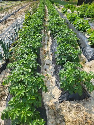 최상희님의 자유주제 · 자유게시판 작성글 사진