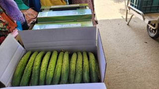 양파7337님의 자유주제 · 자유게시판 작성글 사진