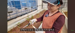 감15576님의 자유주제 · 자유게시판 작성글 사진