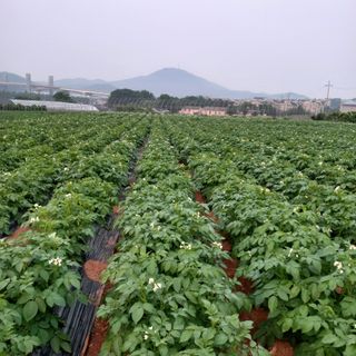 김주철님의 자유주제 · 자유게시판 작성글 사진