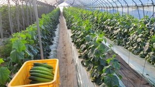 양파7337님의 자유주제 · 자유게시판 작성글 사진