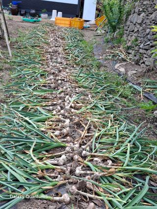 이세순님의 자유주제 · 자유게시판 작성글 사진