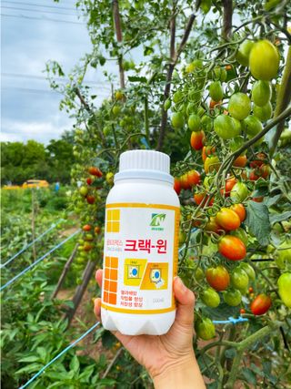 누보농장님의 자유주제 · 자유게시판 작성글 사진