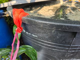 고추농사 정 미라님의 자유주제 · 자유게시판 작성글 사진