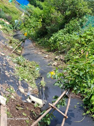 이세순님의 자유주제 · 자유게시판 작성글 사진