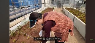 감15576님의 자유주제 · 자유게시판 작성글 사진