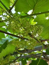 팜모닝 자유주제·자유게시판 게시글 이미지