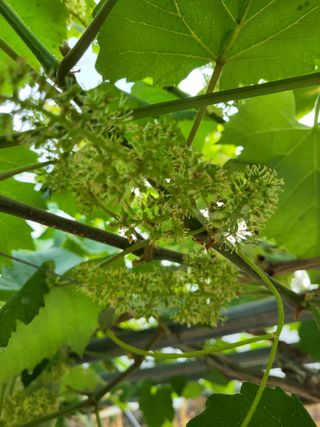 최상희님의 자유주제 · 자유게시판 작성글 사진