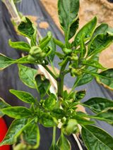 팜모닝 자유주제·자유게시판 게시글 이미지