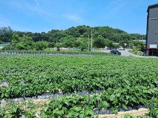 안동준 님의 자유주제 · 자유게시판 작성글 사진