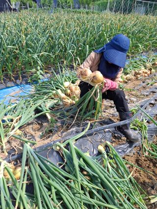 문영식님의 자유주제 · 자유게시판 작성글 사진