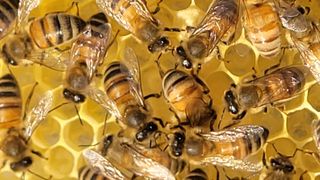 여우내 이순홍님의 자유주제 · 자유게시판 작성글 사진