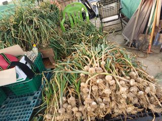 유영옥님의 자유주제 · 자유게시판 작성글 사진