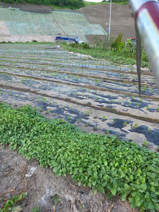 친환경아줌아님의 자유주제 · 사진전 작성글 사진