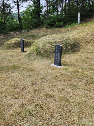  청계유정란 박진균님의 자유주제 · 자유게시판 작성글 사진