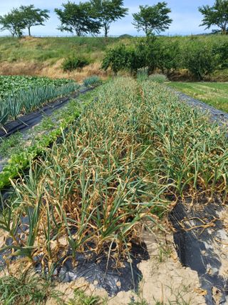 유영옥님의 자유주제 · 자유게시판 작성글 사진