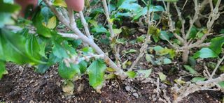 이정현님의 자유주제 · 자유게시판 작성글 사진