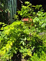 팜모닝 자유주제·자유게시판 게시글 이미지