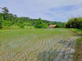 pyonngzz님의 농사, 무엇이든 물어보세요! · 참여글 작성글 사진