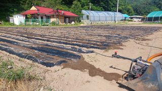 강원도 횡성군님의 자유주제 · 자유게시판 작성글 사진