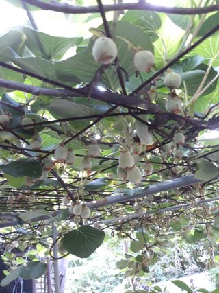 조동원님의 자유주제 · 자유게시판 작성글 사진