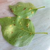 팜모닝 자유주제·자유게시판 게시글 이미지