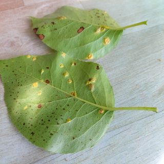 얼큰이님의 자유주제 · 자유게시판 작성글 사진