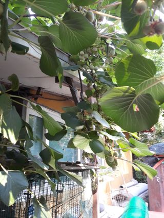 조동원님의 자유주제 · 자유게시판 작성글 사진