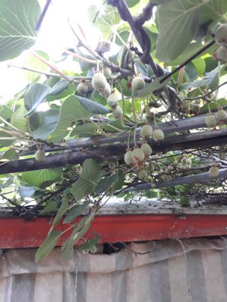 조동원님의 자유주제 · 자유게시판 작성글 사진