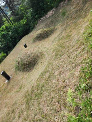  청계유정란 박진균님의 자유주제 · 자유게시판 작성글 사진