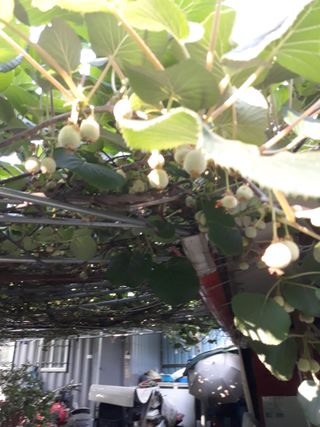 조동원님의 자유주제 · 자유게시판 작성글 사진