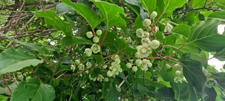 백순분님의 자유주제 · 자유게시판 작성글 사진