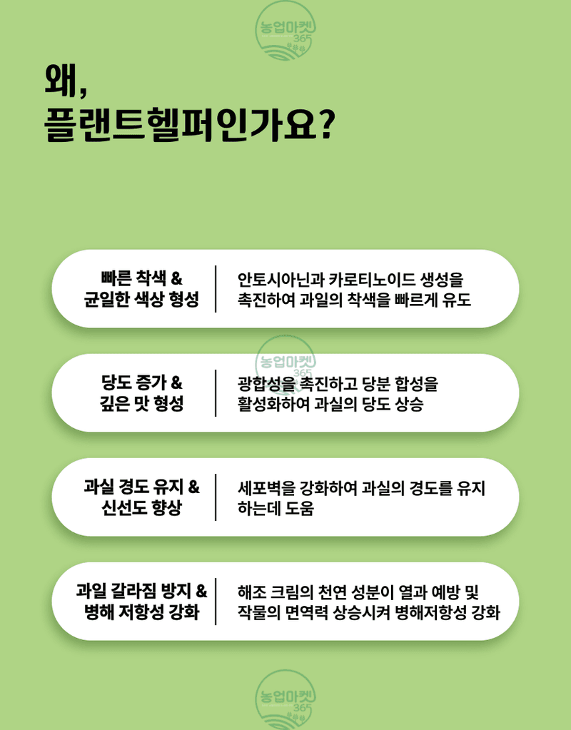 농업마켓365님의 장터 판매 상품 [농업마켓365 융전 플랜트헬퍼 액제 500ml 착색 당도 맛 해조추출물 해조서스팬션 사과 복숭아 포도 과수 과채] 첨부 사진