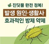 대산농사대장님의 고추·비료•농약 작성글 사진