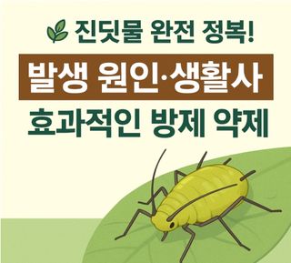 대산농사대장님의 고추 · 비료•농약 작성글 사진