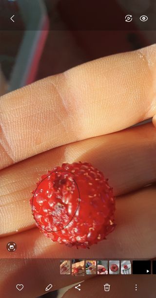 농사985님의 농사, 무엇이든 물어보세요! · 참여글 작성글 사진