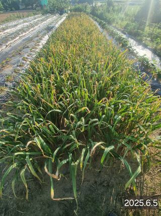 정석범님의 자유주제 · 자유게시판 작성글 사진