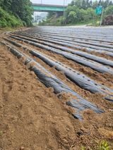 팜모닝 자유주제·자유게시판 게시글 이미지