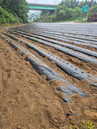 양배추17139님의 자유주제 · 자유게시판 작성글 사진