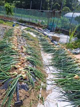 문영식님의 자유주제 · 자유게시판 작성글 사진