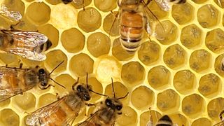 여우내 이순홍님의 자유주제 · 자유게시판 작성글 사진