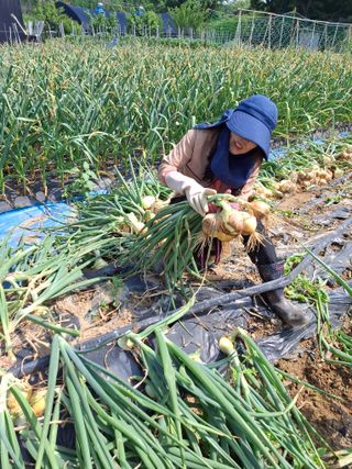문영식님의 자유주제 · 자유게시판 작성글 사진