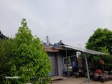 팜모닝 자유주제·자유게시판 게시글 이미지