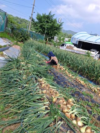 문영식님의 자유주제 · 자유게시판 작성글 사진