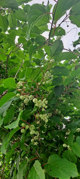 백순분님의 자유주제 · 자유게시판 작성글 사진