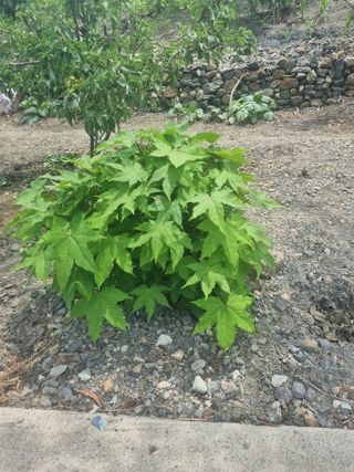 김용대님의 자유주제 · 자유게시판 작성글 사진