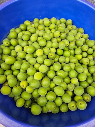 송진술♡ 수원♡님의 자유주제 · 자유게시판 작성글 사진