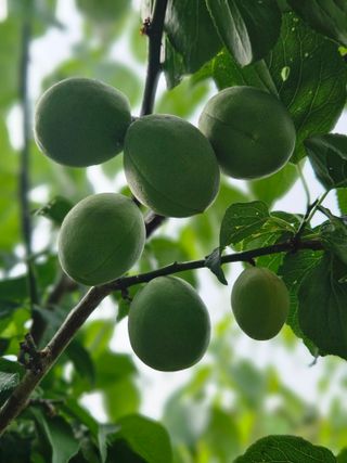 송진술♡ 수원♡님의 자유주제 · 자유게시판 작성글 사진