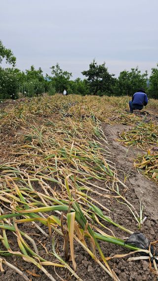 배성은365님의 자유주제 · 자유게시판 작성글 사진