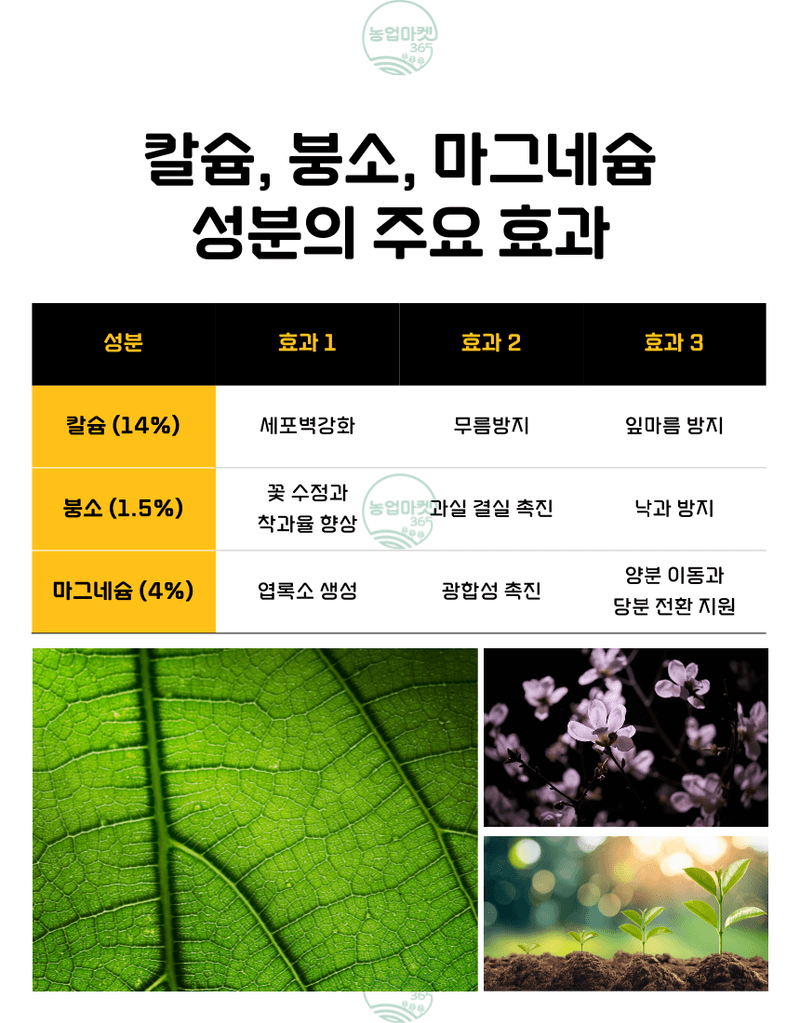 농업마켓365님의 장터 판매 상품 [농업마켓365 융전 칼슘붕소마그골드 액제 500ml 칼슘+붕소+마그네슘 한방에 해결] 첨부 사진